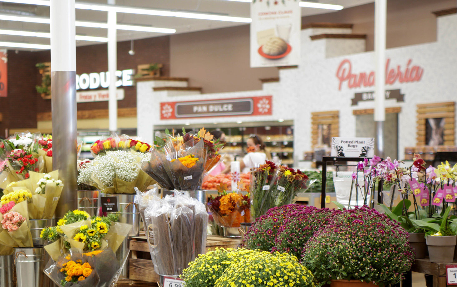 Cardenas Markets